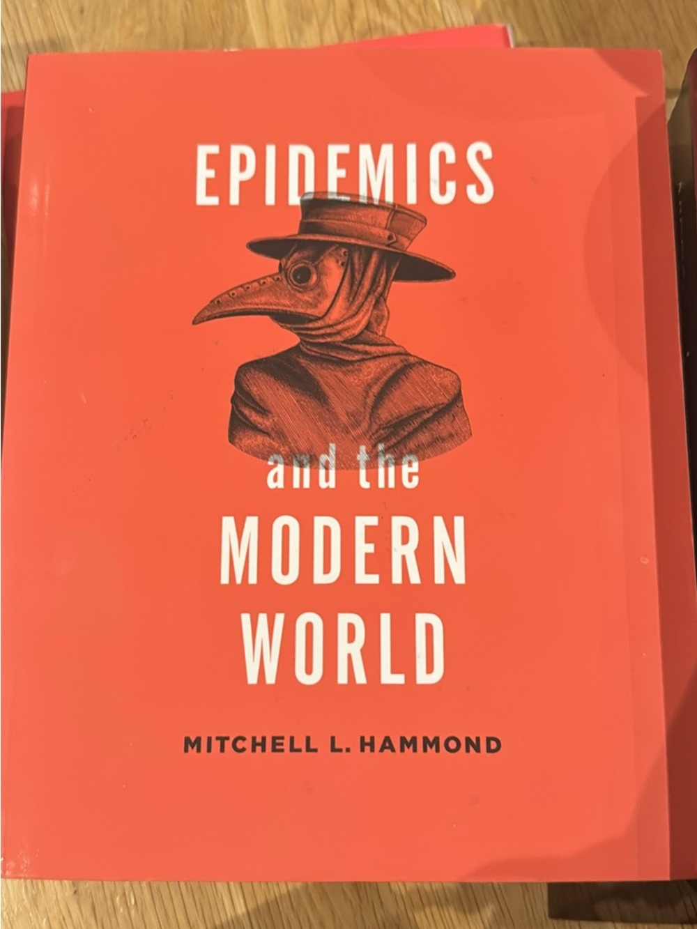 Epidemics and the modern world